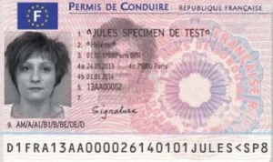 Buy Genuine France Drivers License
