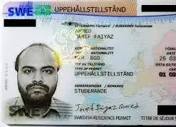 Purchasing Genuine Sweden Residence Permits