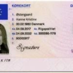 How to Get Danish Drivers Licenses Without Exams