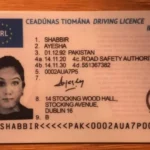 Purchasing Genuine Ireland Drivers licenses