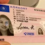 Purchasing Genuine Sweden Drivers Licenses