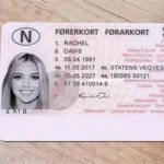 Buy Genuine Norway Drivers Licenses