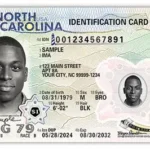 Buy Authentic USA ID Cards